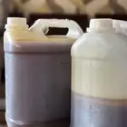 عسل سدر حضرمي