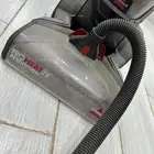 مكنست بيسيل