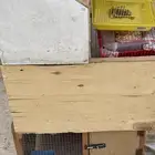 شبوك طيور او ارنب