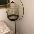 قفص مع استاند نظيف