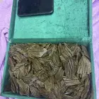 عود ازرق كلمنتان   كيلو