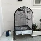 تم البيع. كاسكو