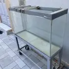 حوض سمك