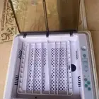 الرياض المجمعه