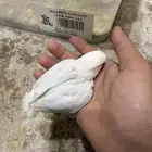 فرخ روز لون ازرق فاتح