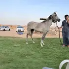 مهره واهو