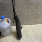 شكمان صحراوي