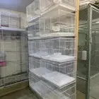 اقفاص مقاس600 اخوجدبداستخدام فتره بسيطه