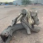 للبيع وبس اسكت لا احد يدري