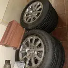 جنوط دينالي اصلي