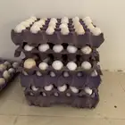 للبيع بيض عدد 7 اطباق