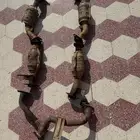 قزوز ربع كامل غير الدبه الاخيره