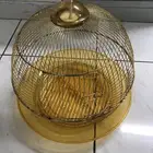 قفص عصافير