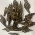 عود تايقر كمبودي اصلي متوفر بالاوقيه وبالكيلو