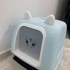 اغراض قطط