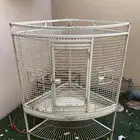 شبك طيور للبيع