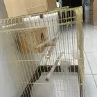 قفص ببغاه كبير وله قاعده بكفرات
