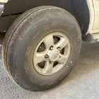 جنوط فكسار