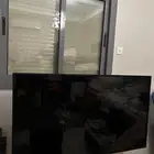 تلفزيون