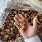 تمر سري خلاص صقعي وبعض الانواع
