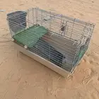 شبك او قفص طيور و وبران