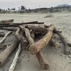 دعم اثل للبيع في بيشه