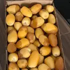 للبيع تمر خلاص مناصيف