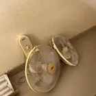 مروحه