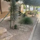 تصميم وتنسيق وتنفيذ لاند وهارد سكيب