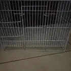 قفص عصفور بي 10