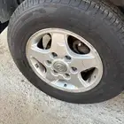 جنوط نجمه ددسن