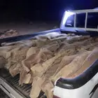 ح ط ب صندوق غماره