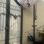 استاند كورة سله جديد