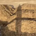 يوجد سماد غنم مع رمل