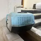 حامل قطط للبيع