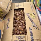 تمر خلع وكسب
