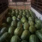 حبحب العدد 48 الي بقا