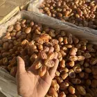 خلاص وادي نعام