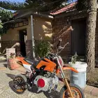دباب جحش صحرواي مقاس صغير