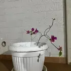 جهنمية مع احواض للبيع