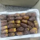 مجدول المدينه