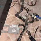 ضفيره كمله حق ددسانن من 2008 الين 2016