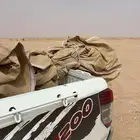 مظلة غنم جديدة يوم فقط