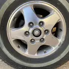 جنوط نجمة أربع حبات أصلي