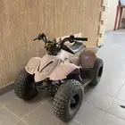 دباب تايواني