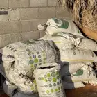 يوجد تمر نظيف