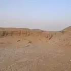 صبيز في الأفلاج بكميات كبيرة لشركات و المقاولات