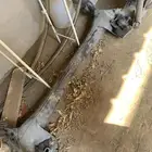 قطع غيار شانجان ايدو بلس