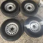 جنوط هلل للربع والشاص
