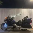 قولد وينق للبيع مستعجل